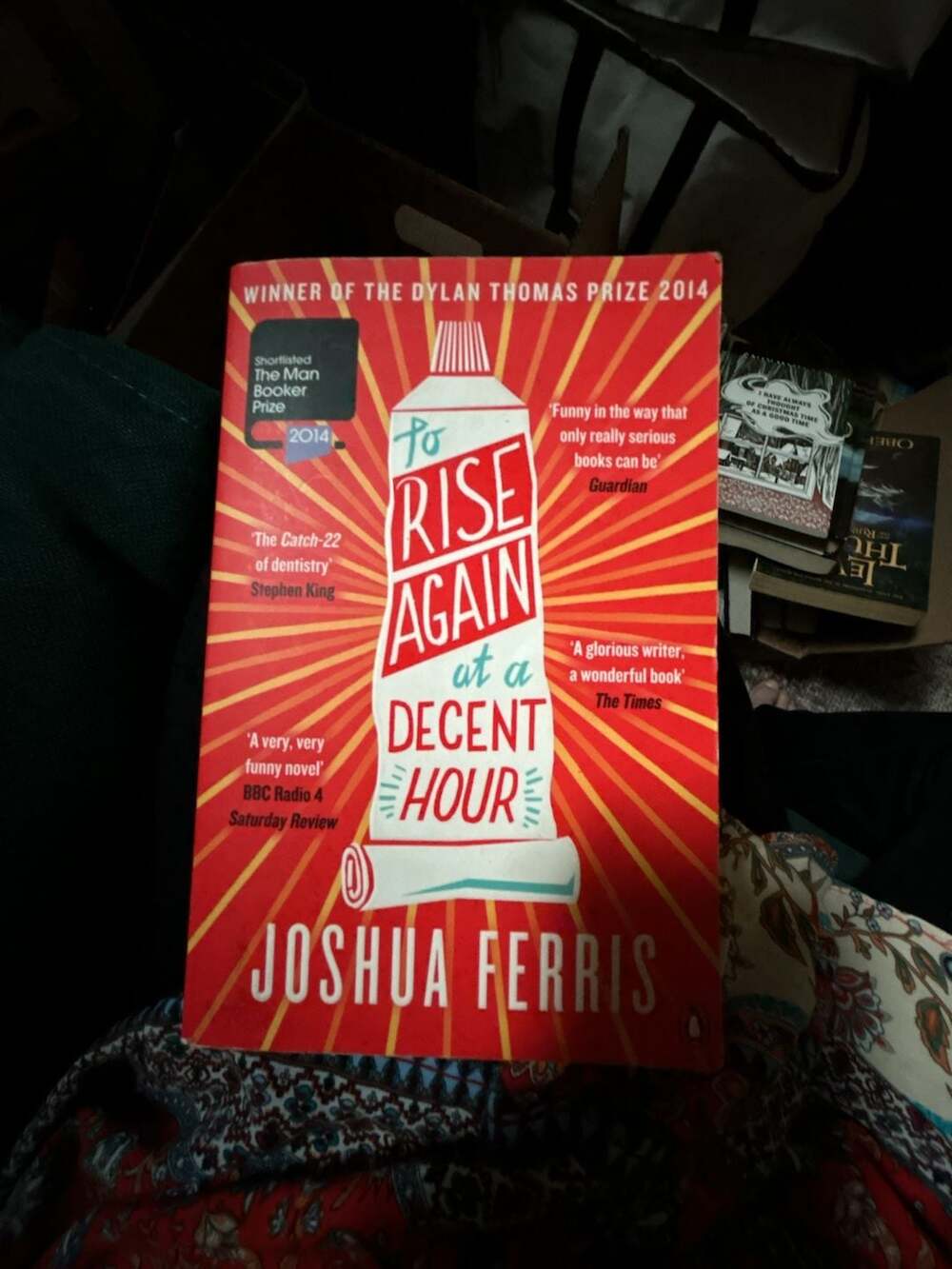 To Rise Again at a Decent Hour by Joshua Ferris Paperback Book